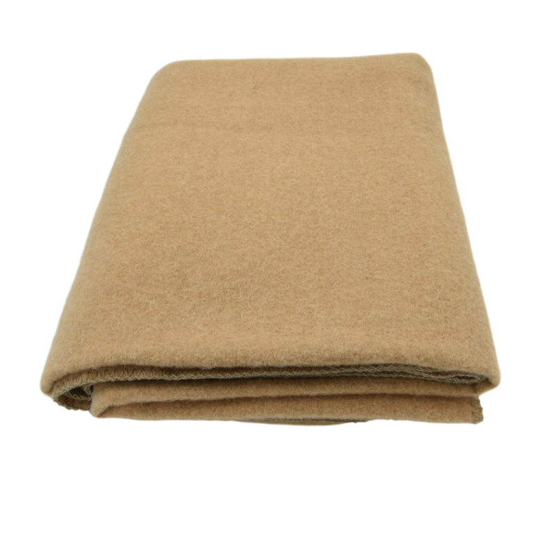 Steiner Decken, Alina